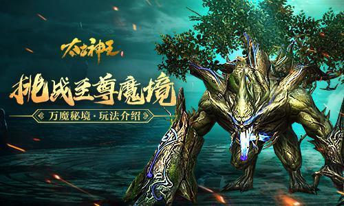 掌上《南安新闻》2024年1月29日