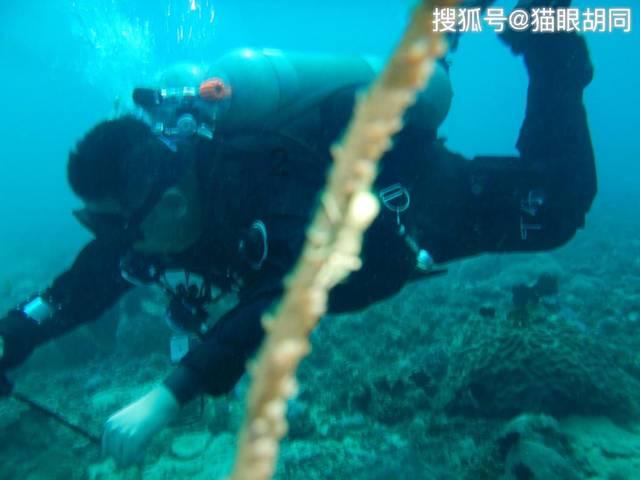 魔晶猎人跳跃者